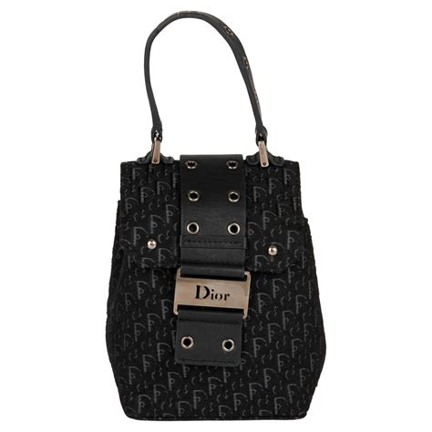 dior pet dames